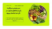 ویدیوآی آر - videoir قالب اسلایدر اکتیو